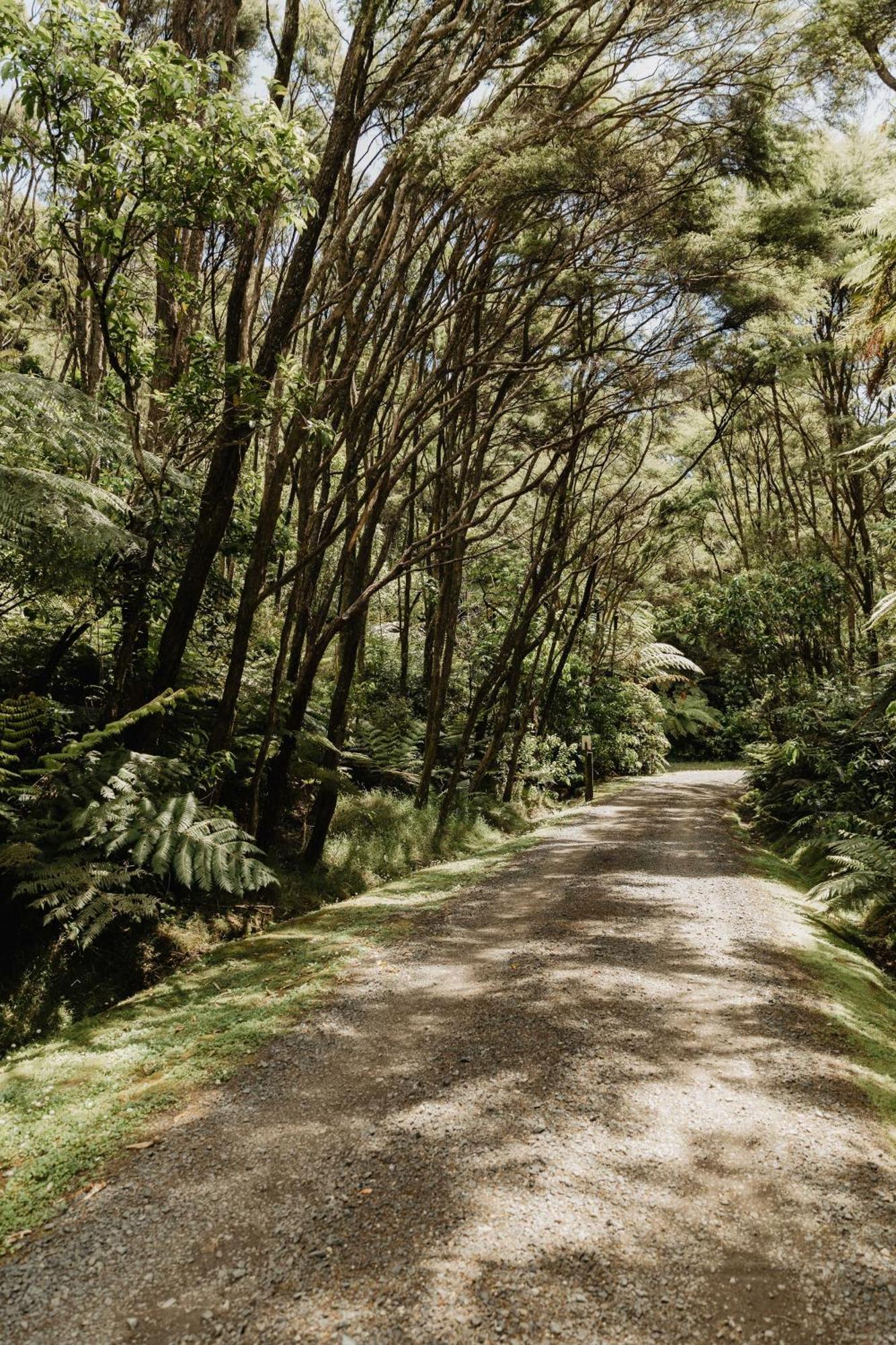 Buffalo Lodge Coromandel Экстерьер фото